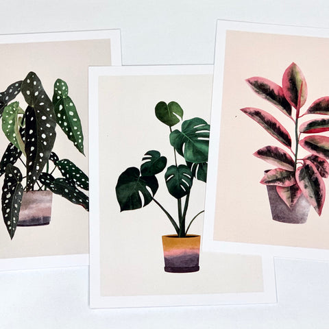Postkarten 3er Set Pflanzenmotive